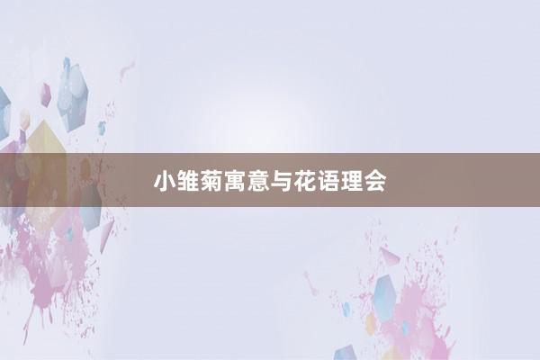 小雏菊寓意与花语理会